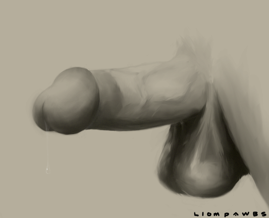 A drawing of a dick